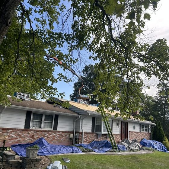 Roof deck exposed during a tear-off, landscaping tarped below